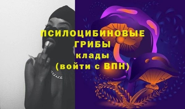 твердый Дмитров