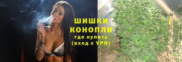 твердый Дмитров