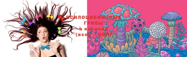 эйфоретик Медногорск
